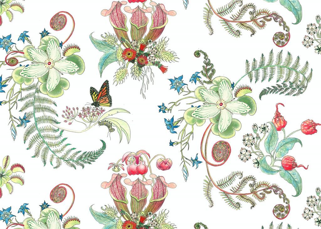 NeutralPosies, in the Carolina Tree of Life Collection by Newton Paisley.