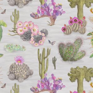 Mexican Cactus in Dove