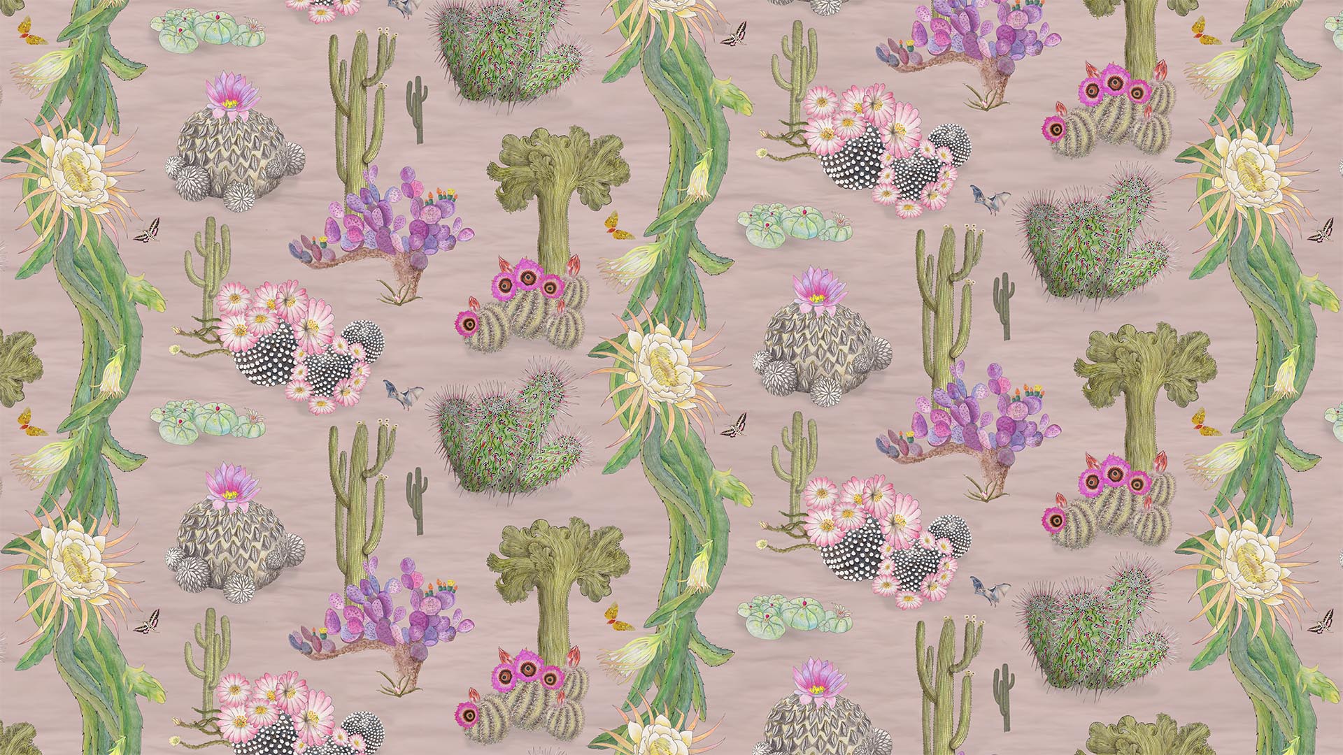 Blush Cactus Maxicanos