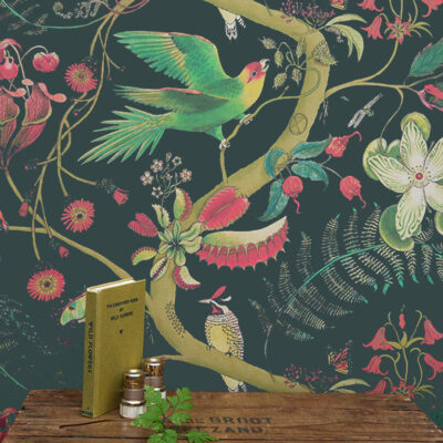 Carolina Parakeets Wallpaper Stock