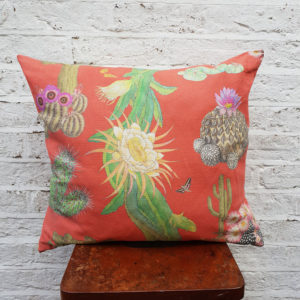 Cactus Mexicanos Cushion