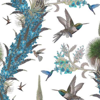Madidi Hummingbirds Wallpaper Stock