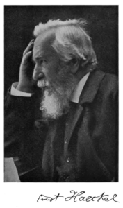 Ernst Haeckel 