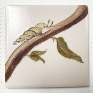 Whorled snail tile