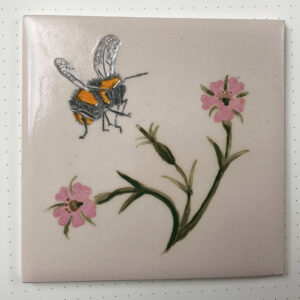 Pinks and bumblebee