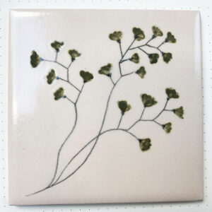 Maidenhair fern