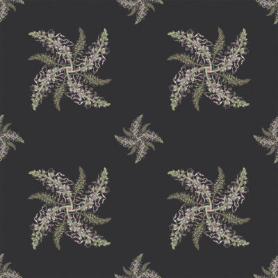 lizard orchid wp