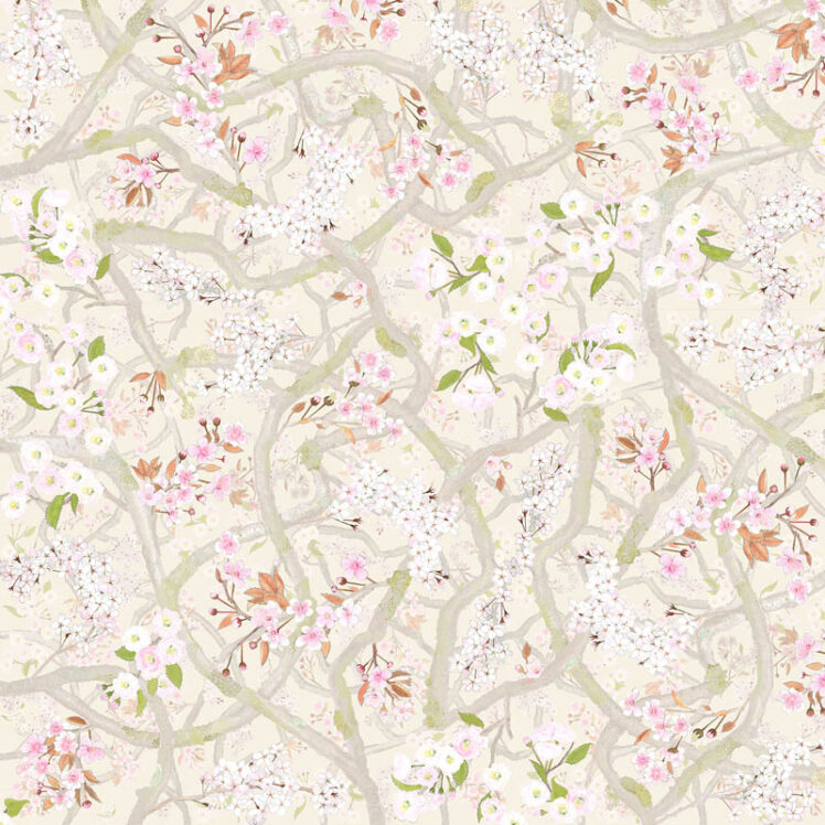 Sakura Lychee multi