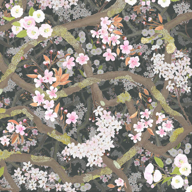 Sakura Obsidian detail