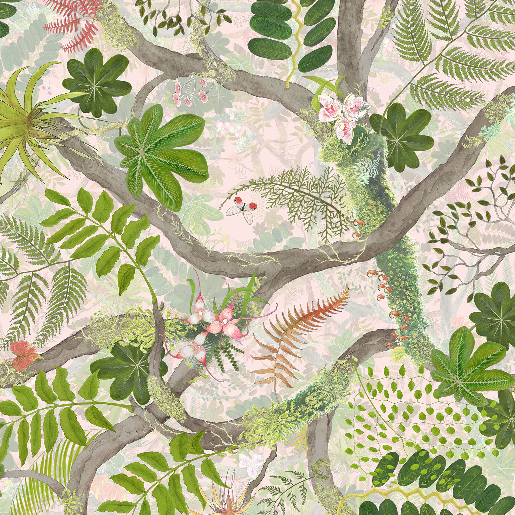 Los Cedros Fern Pink